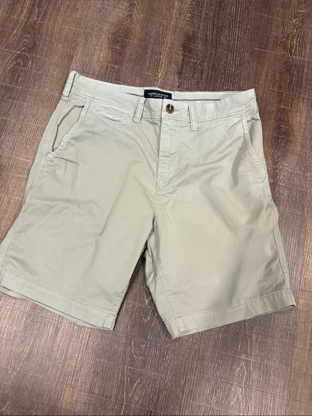 American Eagle Outfitters Light Blue Men’s Flat Front Shorts